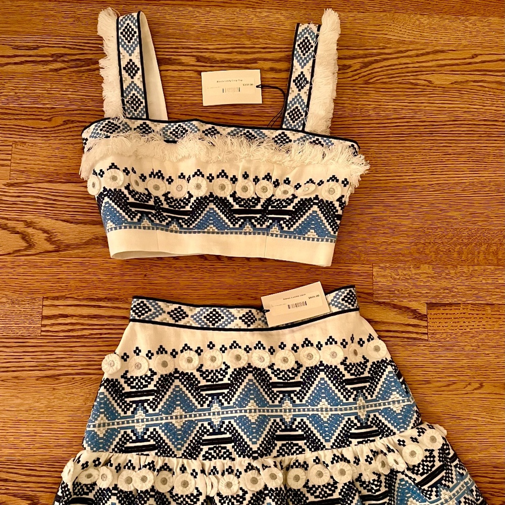 2 piece Alexis skirt and crop top